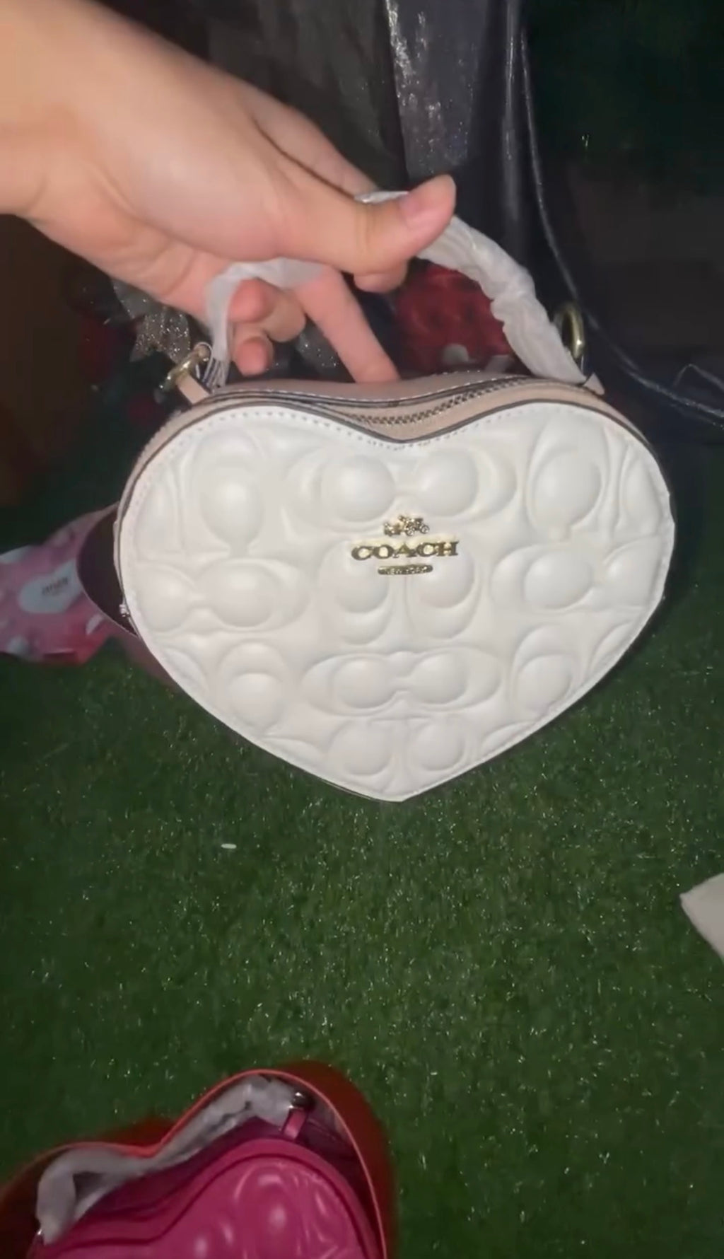 Padded Heart Bags